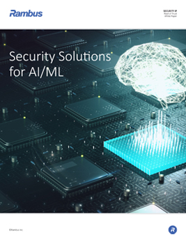 Download Security Solutions for AI/ML