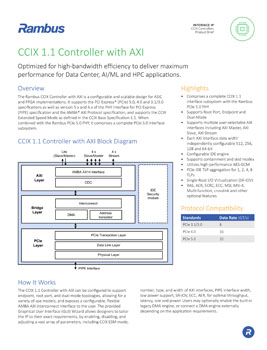 CCIX 1.1 Controller with AXI Product Brief